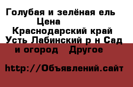 Голубая и зелёная ель  › Цена ­ 5 000 - Краснодарский край, Усть-Лабинский р-н Сад и огород » Другое   